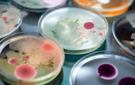 IDTechEx Discusses Applications of Antimicrobial Technology in Addressing Healthcare Infections
